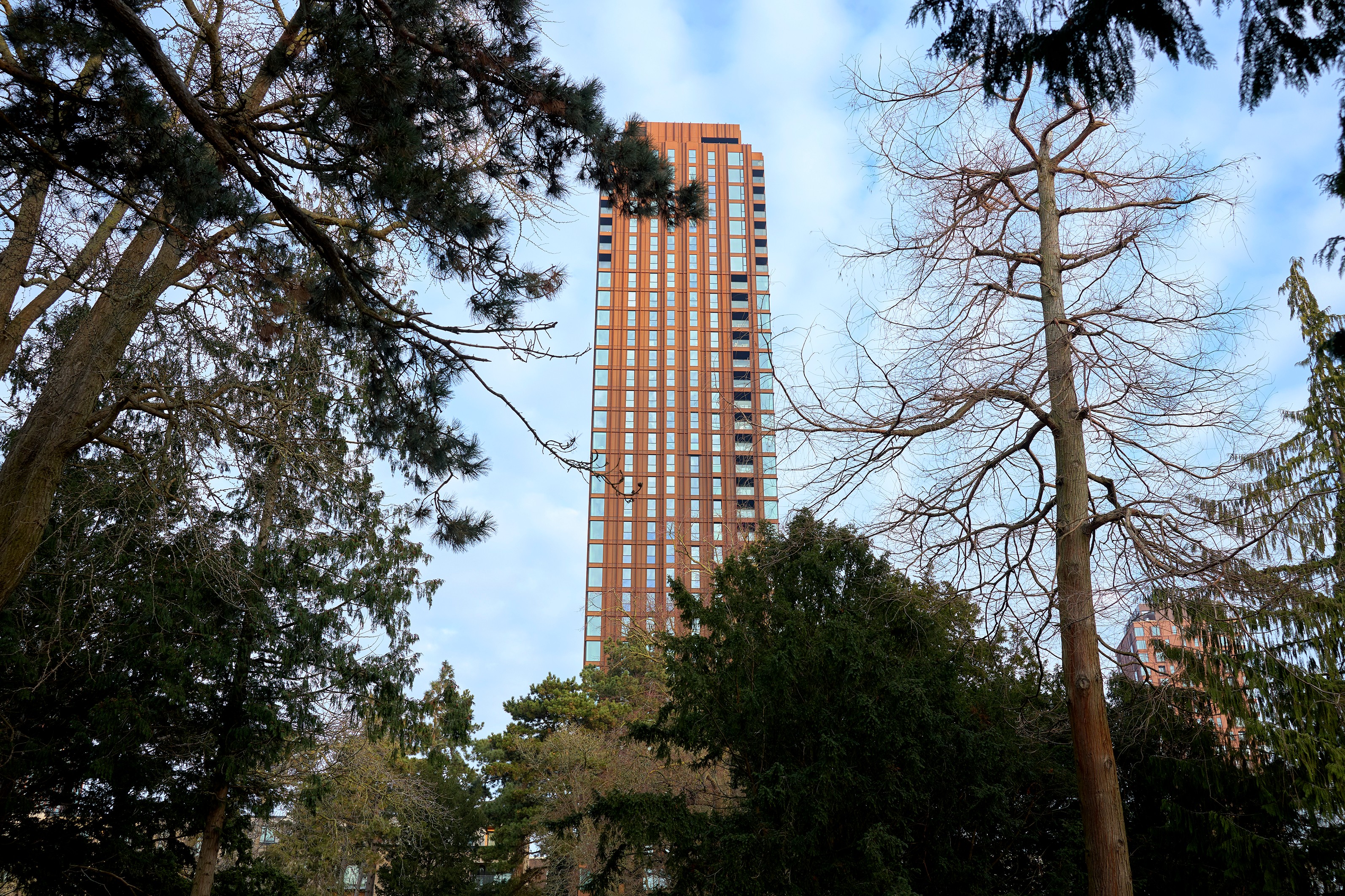 Photo of rows of books in a library with marble busts.